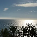 Palmas 1 *