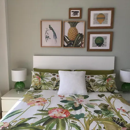 Palmas 1 * 马尔韦利亚