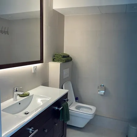 公寓 Palmas 1 马尔韦利亚