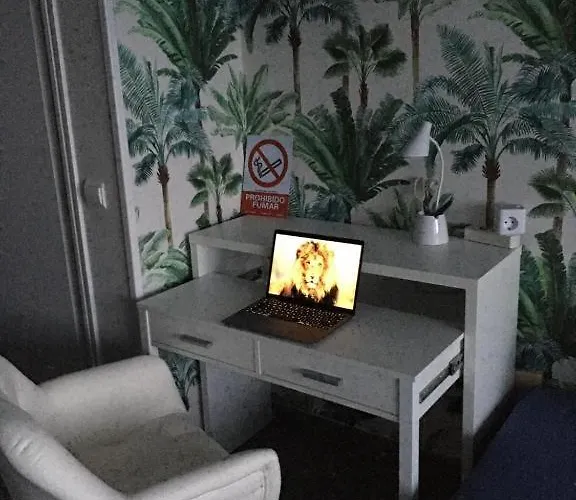 Palmas 1 *